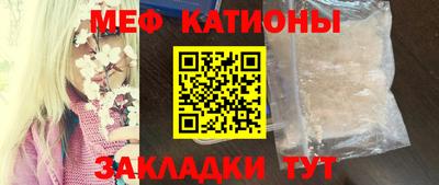 прущие грибы Пенза