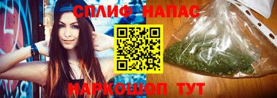 мдпв Пугачёв