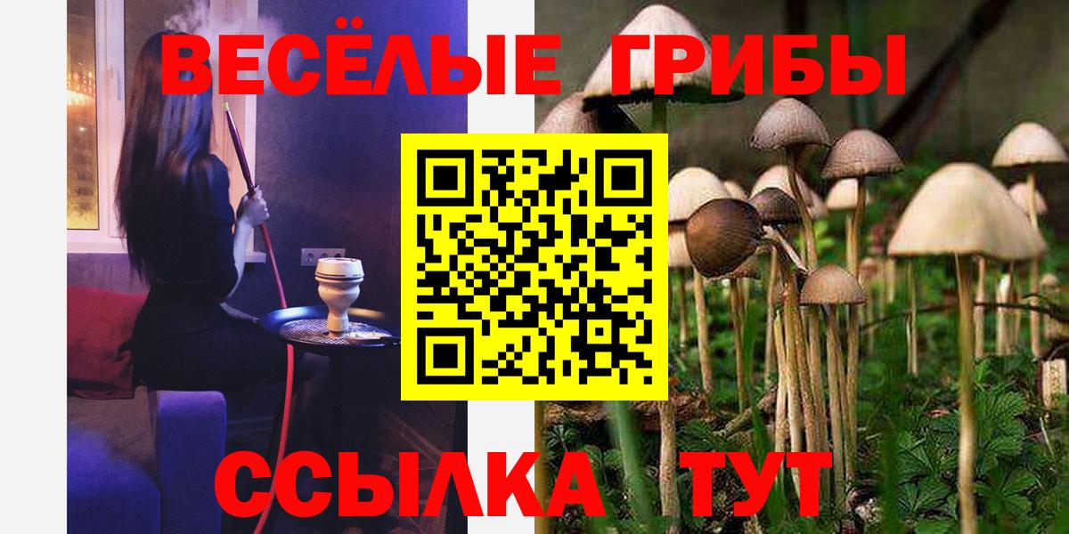 Псилоцибиновые грибы Psilocybine cubensis  даркнет сайт  Семёнов  Вход с VPN 