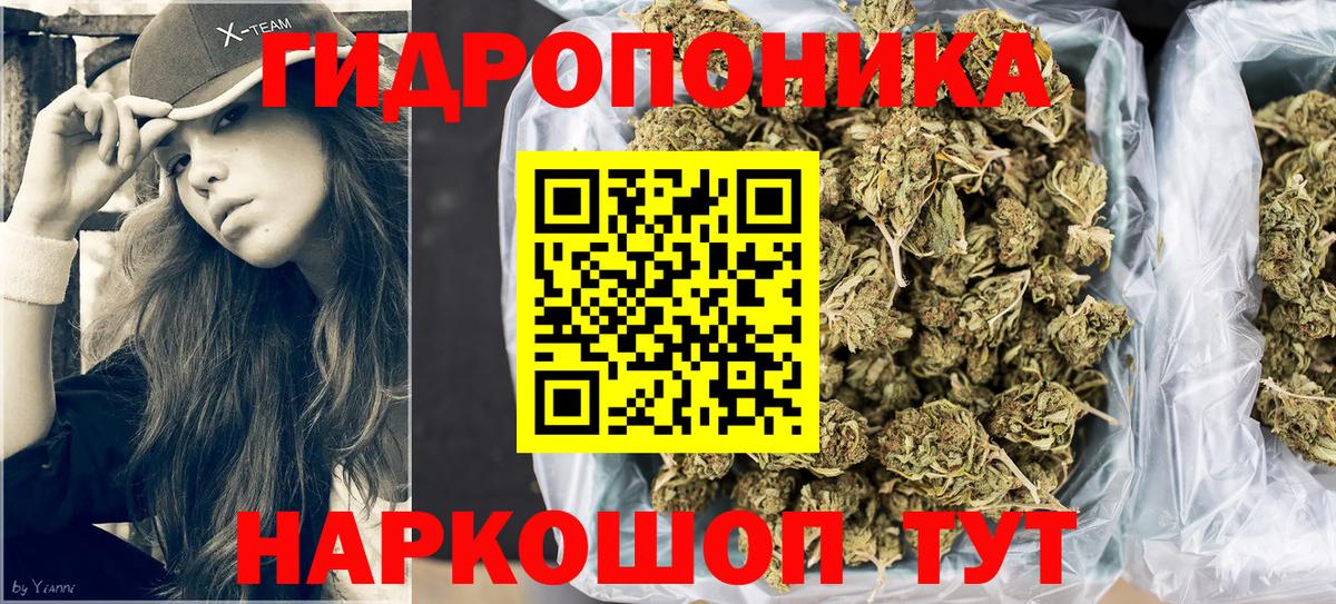 Бошки Шишки марихуана  Шишки марихуана гибрид  Вход с VPN  Семёнов 
